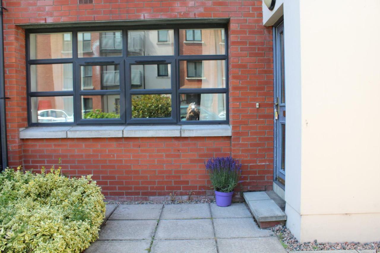Park Apartments At Obc Belfast Esterno foto